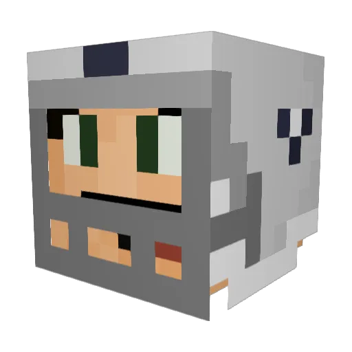 brodehl Minecraft avatar head, 3D render