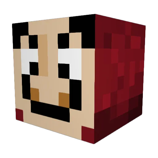 broder111 Minecraft avatar head, 3D render
