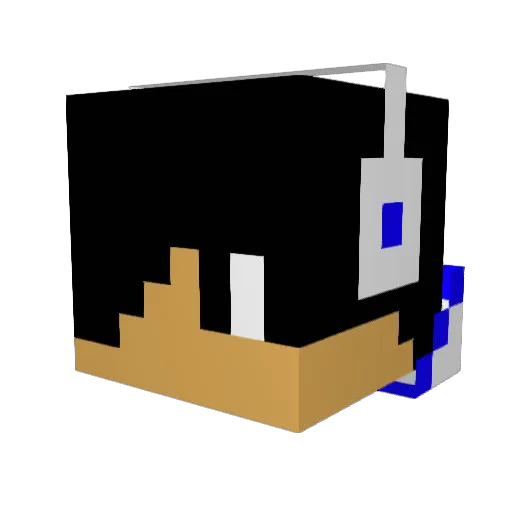 brodskywill Minecraft avatar head, 3D render