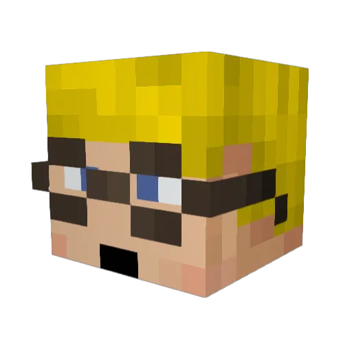 brodude1111 Minecraft avatar head, 3D render