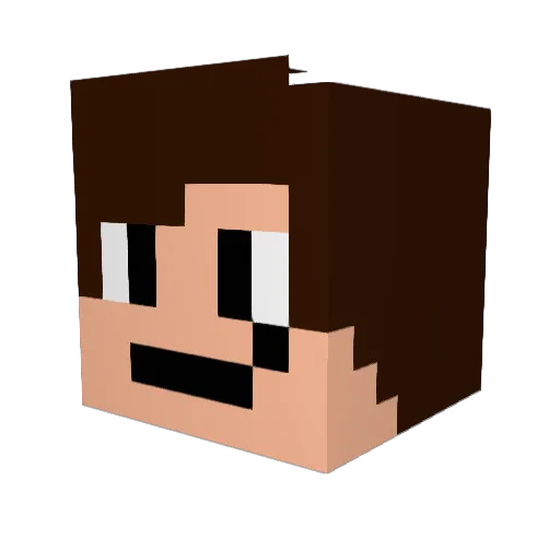 brodyaga14 Minecraft avatar head, 3D render