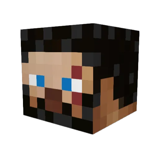 brofists900 Minecraft avatar head, 3D render