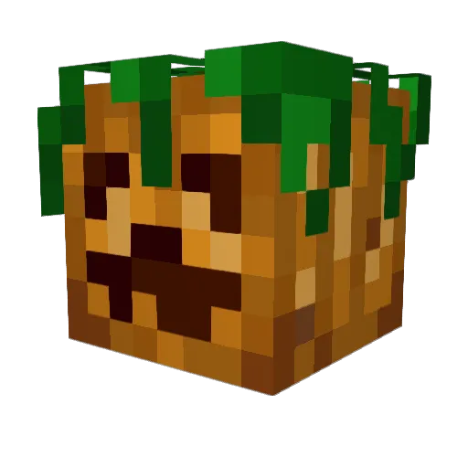 broken_aura Minecraft avatar head, 3D render