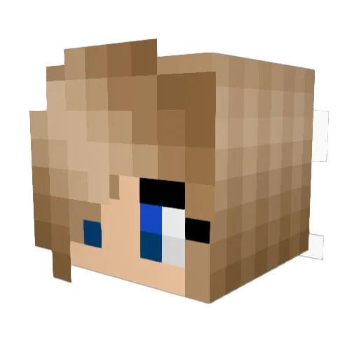 brokendandelion Minecraft avatar head, 3D render