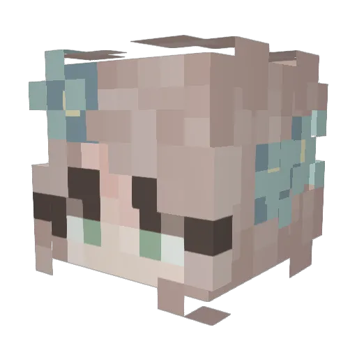 brokenlaundry Minecraft avatar head, 3D render