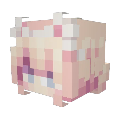 brokkolier Minecraft avatar head, 3D render