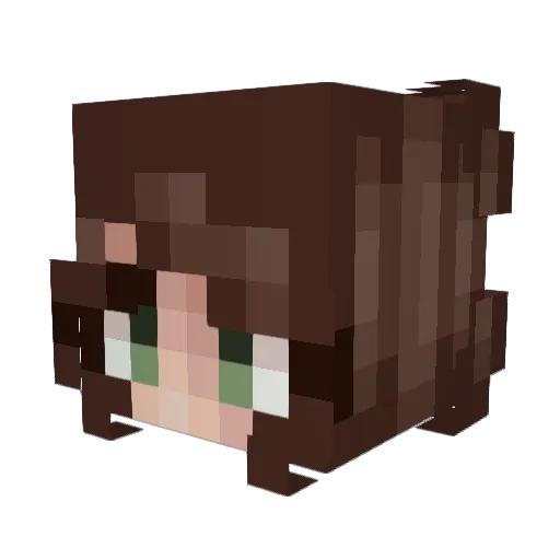 broll5000 Minecraft avatar head, 3D render