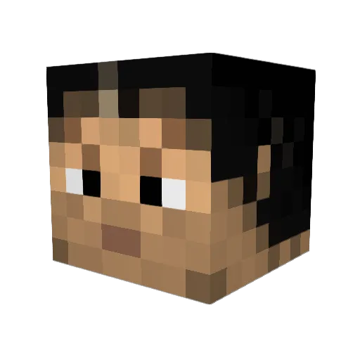bromanbro45 Minecraft avatar head, 3D render