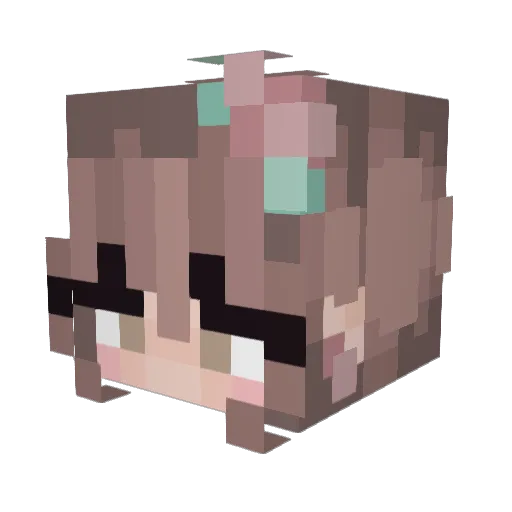 bron3pon3 Minecraft avatar head, 3D render