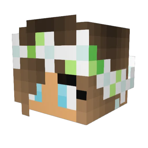 bronnywilliams1 Minecraft avatar head, 3D render