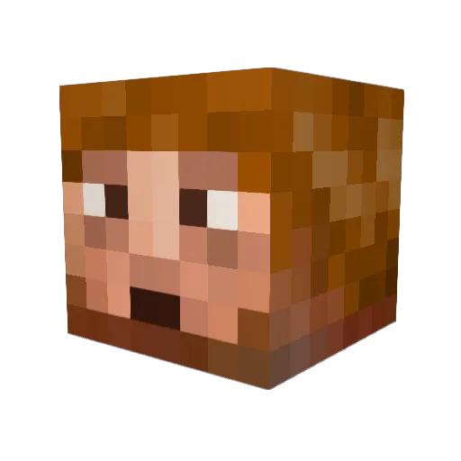 brooded Minecraft avatar head, 3D render
