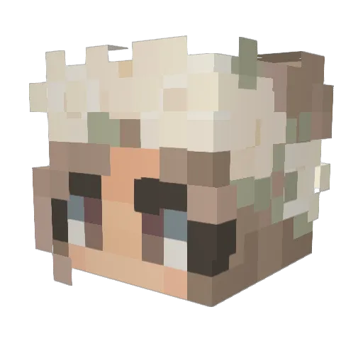 brookboggs Minecraft avatar head, 3D render