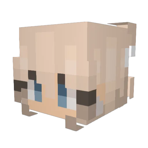 brooke_h11 Minecraft avatar head, 3D render