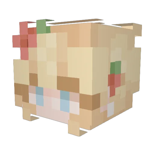 brookee37 Minecraft avatar head, 3D render