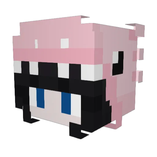 brookehttp Minecraft avatar head, 3D render