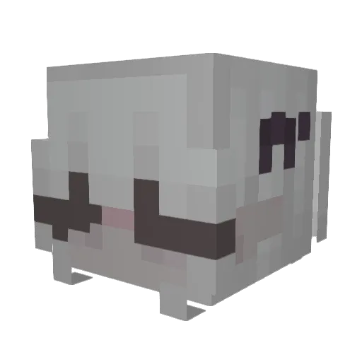 brookesabagel Minecraft avatar head, 3D render