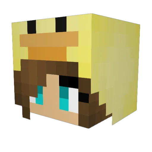 brooket17 Minecraft avatar head, 3D render