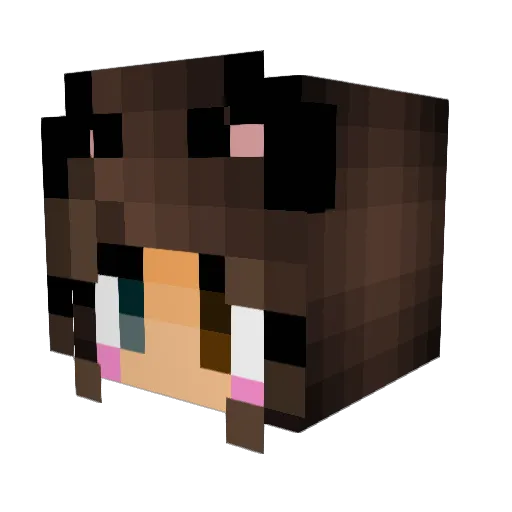 brookie47 Minecraft avatar head, 3D render
