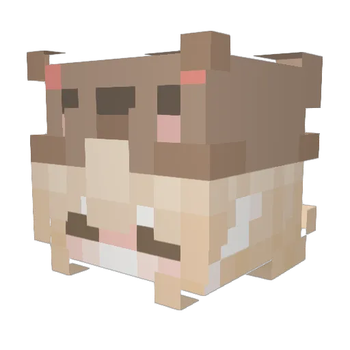 brookie___cookie Minecraft avatar head, 3D render