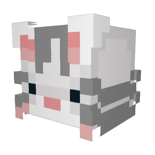 brookiecookie626 Minecraft avatar head, 3D render