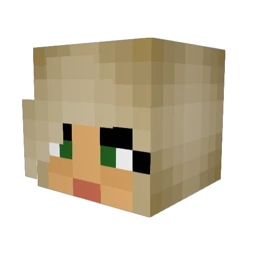 brooklynnm2003 Minecraft avatar head, 3D render