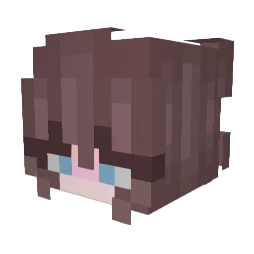 brookolli Minecraft avatar head, 3D render