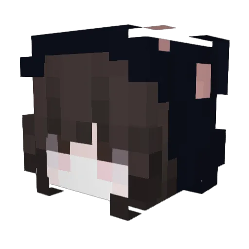 brookoryx Minecraft avatar head, 3D render