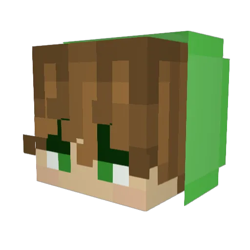 brooksb27 Minecraft avatar head, 3D render