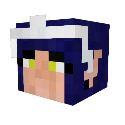 brookxgoesxrawr Minecraft avatar head, 3D render
