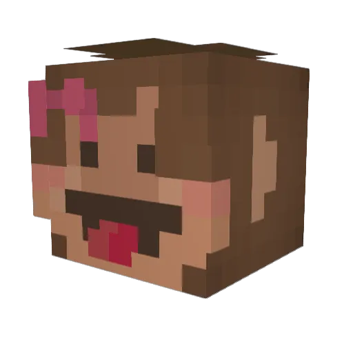 brooky0 Minecraft avatar head, 3D render