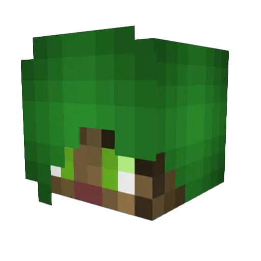 broom14 Minecraft avatar head, 3D render
