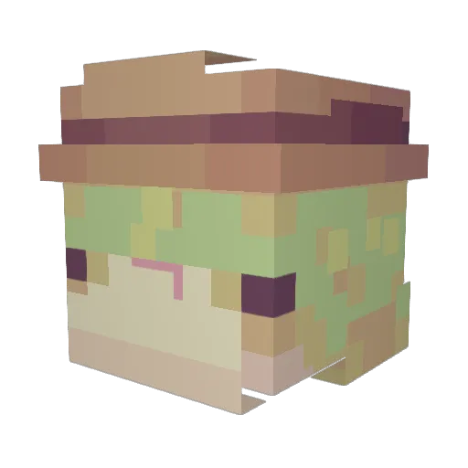 brosefin Minecraft avatar head, 3D render