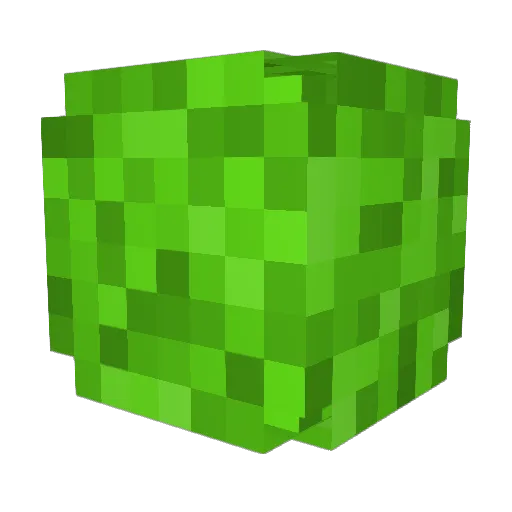 broskipoint Minecraft avatar head, 3D render