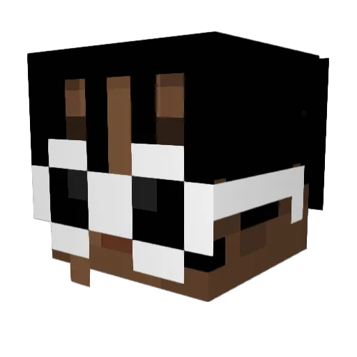 brosny Minecraft avatar head, 3D render