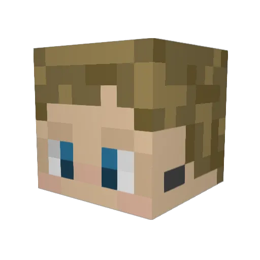 brotasticbroski Minecraft avatar head, 3D render