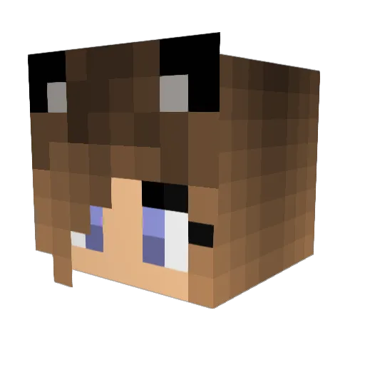 brotato4 Minecraft avatar head, 3D render