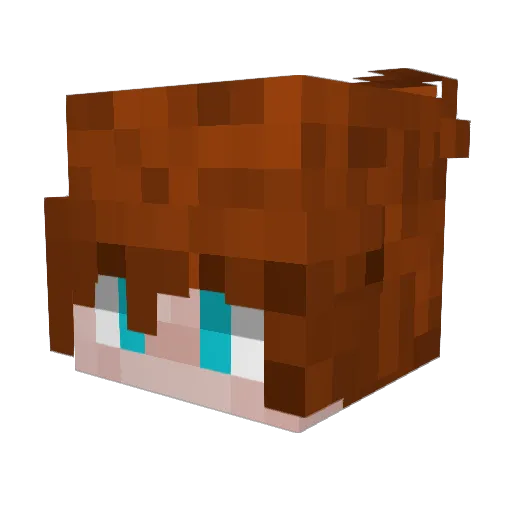 brotatotes Minecraft avatar head, 3D render