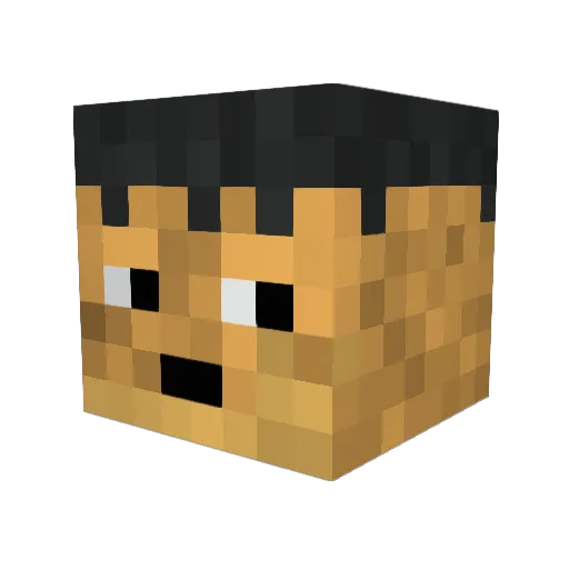 brotchenboy Minecraft avatar head, 3D render