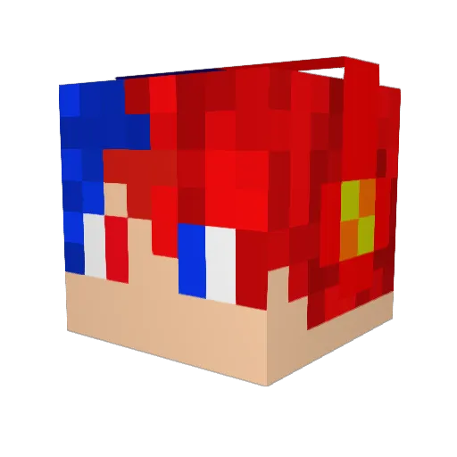 brotherbi Minecraft avatar head, 3D render
