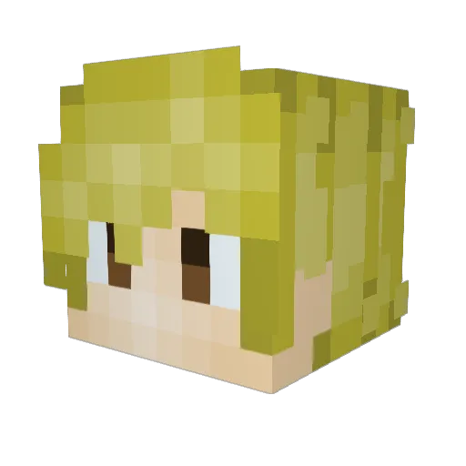 brove9878 Minecraft avatar head, 3D render