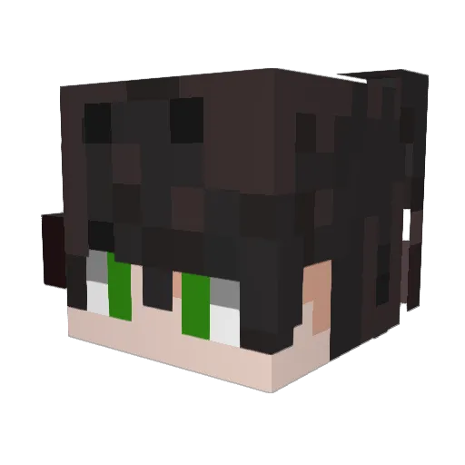 browl0819 Minecraft avatar head, 3D render