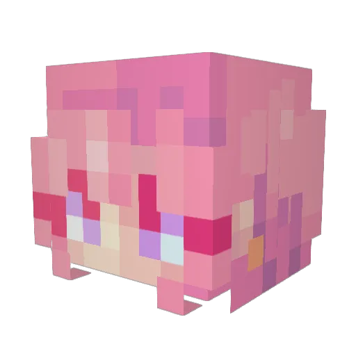 brown_sugarboba Minecraft avatar head, 3D render