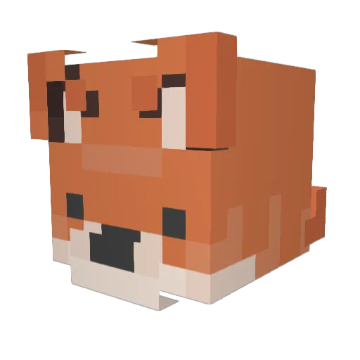 brownbearra Minecraft avatar head, 3D render