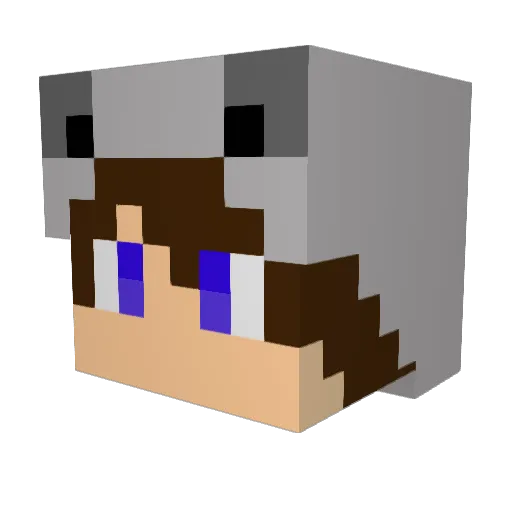 brownboy2121 Minecraft avatar head, 3D render