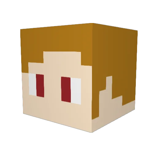 browncofe512 Minecraft avatar head, 3D render