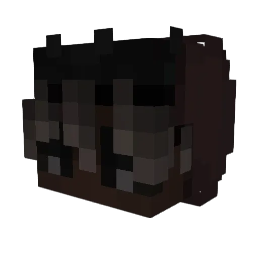 brownfloaty Minecraft avatar head, 3D render