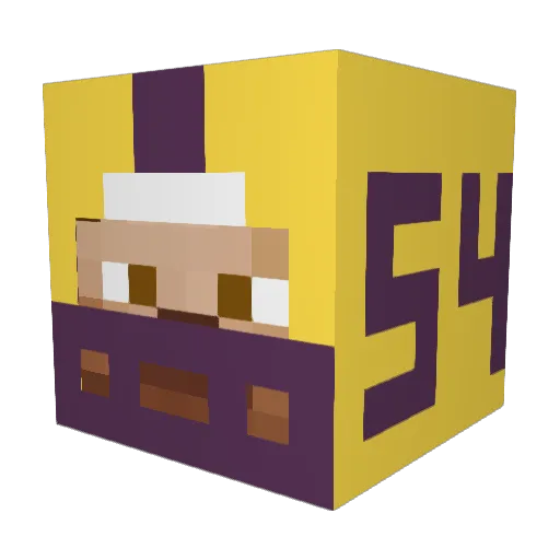 brownie54 Minecraft avatar head, 3D render