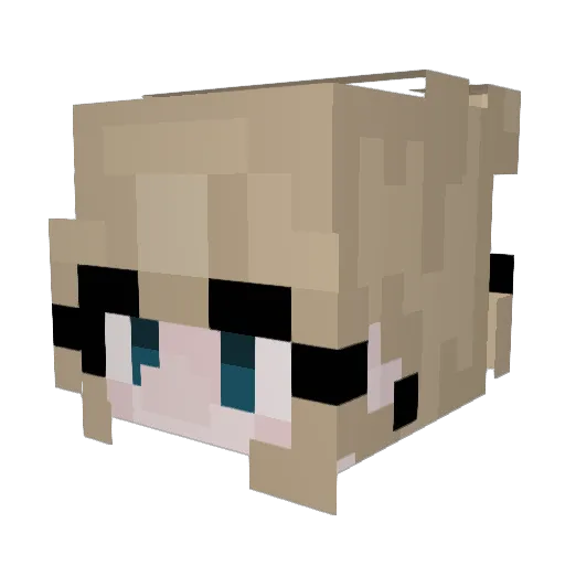 browning1111 Minecraft avatar head, 3D render