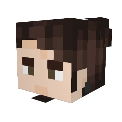 browntown50 Minecraft avatar head, 3D render