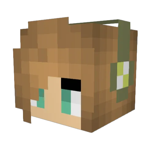 browntree88 Minecraft avatar head, 3D render